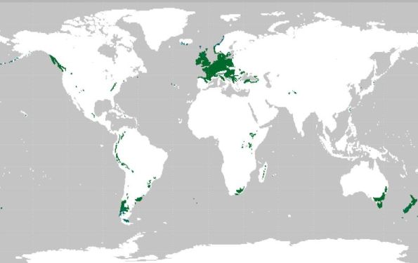 Distribución dos climas oceánicos