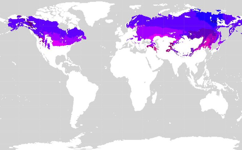 Mapa das zonas climáticas continentais