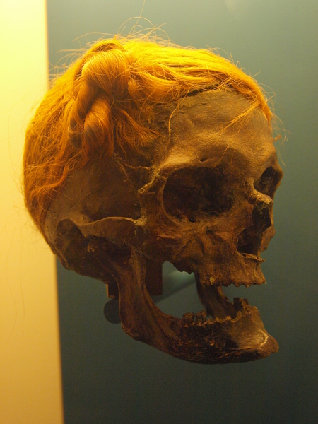 A imaxe amosa o cranio de Osterby