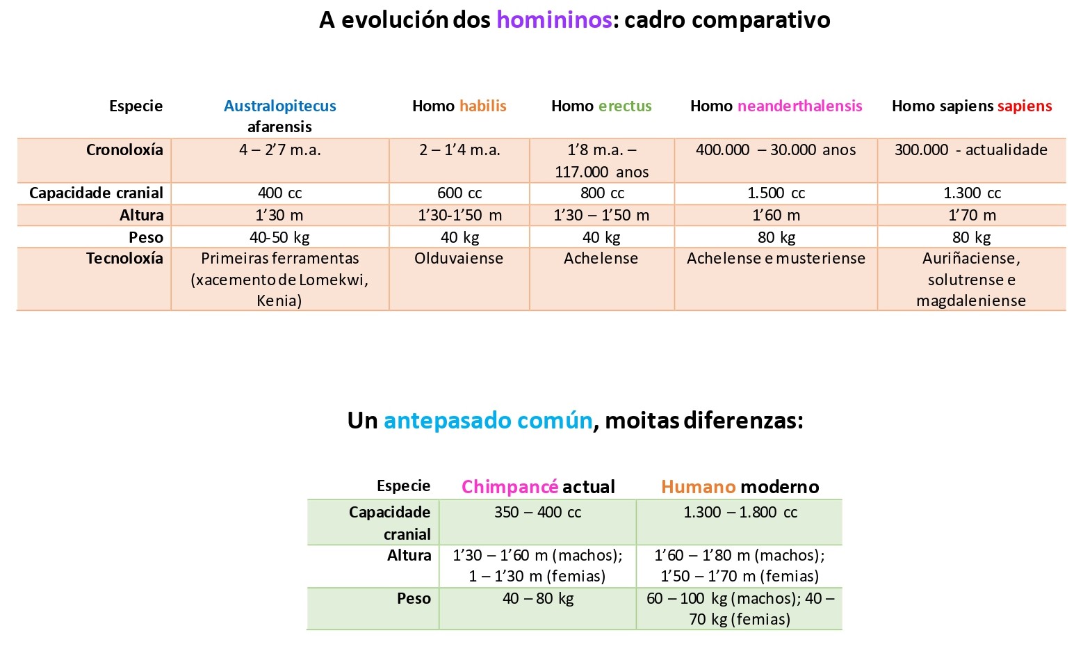 Cadro comparativo homínidos