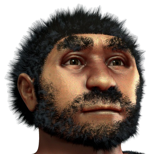 Homo Erectus