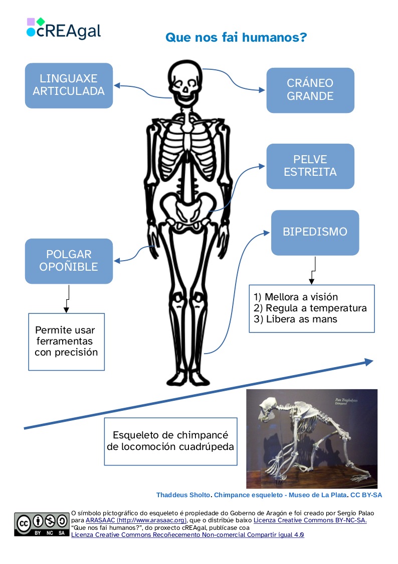 Accede ao PDF (abre nunha nova xanela) Que nos fai humanos