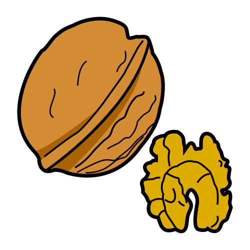 Nuez. Lleva debajo el precio 4.51 euros.