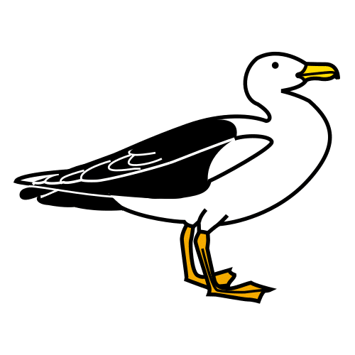 Gaviota