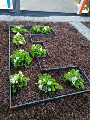 Jardín con la letra E