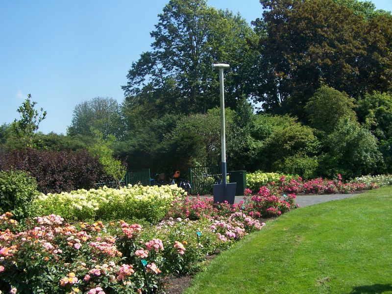 Jardín con una pala gigante