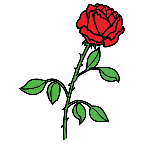 Una rosa