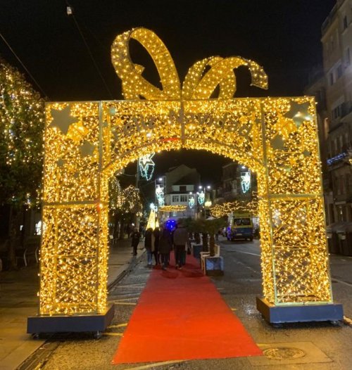 Árboles de luces de Navidad