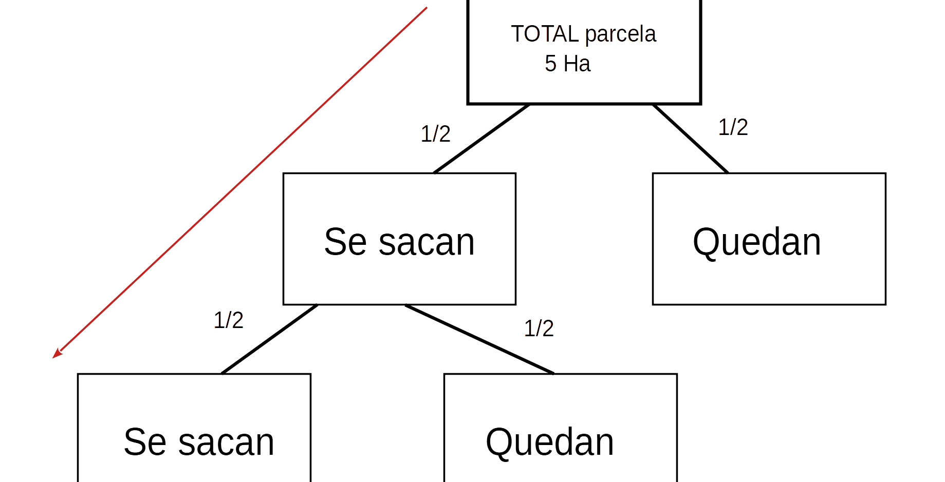 Resolución problema con diagrama de árbol
