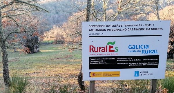 Panel con datos de una actuación sobre un castaño
