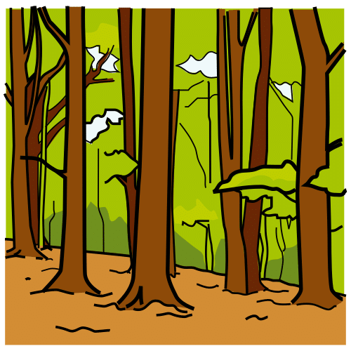 Bosque