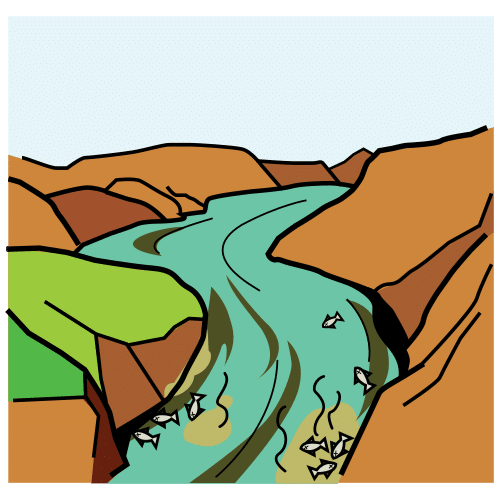 Contaminación