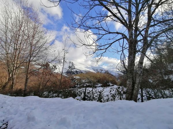 Nevada en O Courel