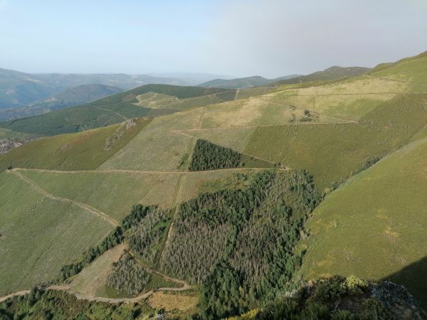 Parcelas de monte