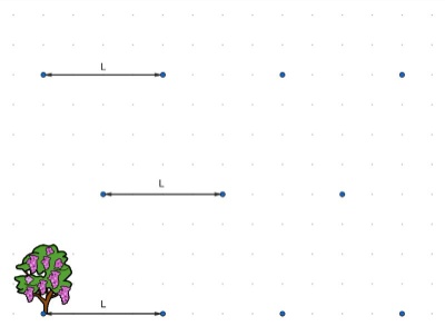 Imagen con árboles y puntos que representa la distancia entre árboles
