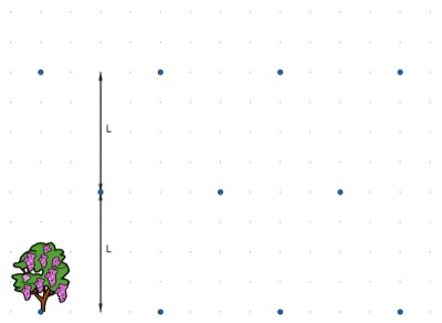 Imagen con árboles y puntos que representa la distancia entre hileras