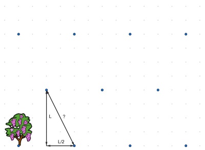 Árbol con fondo de puntos según plantación con tresbolillo y un triángulo rectángulo uniendo tres de ellos