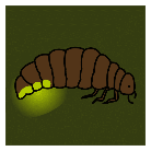 Vagalume