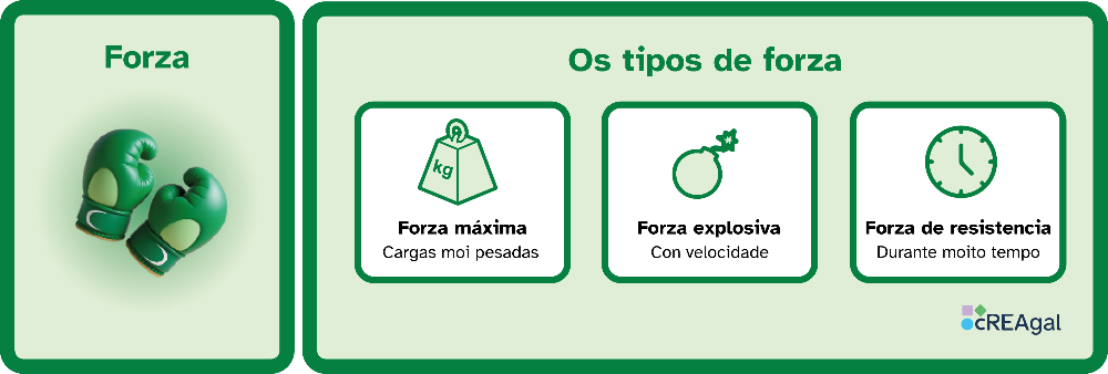 Esquema visual que explica os tipos de forza