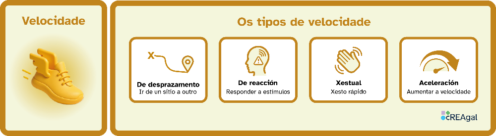 Esquema visual que explica os tipos de velocidade