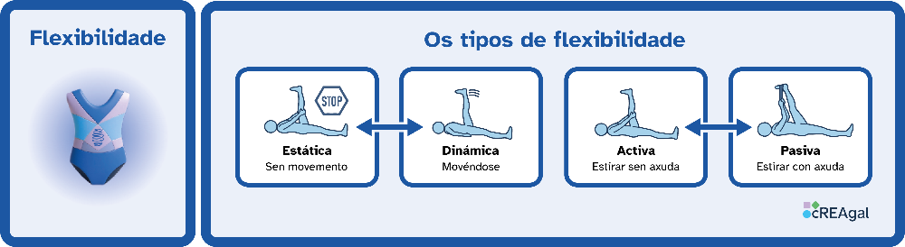 Esquema visual que explica os tipos de flexibilidade