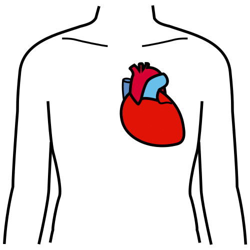 Corazón latendo