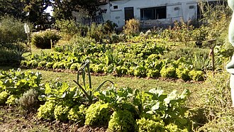 Huerta