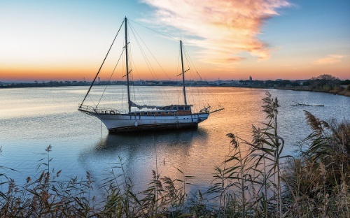Velero
