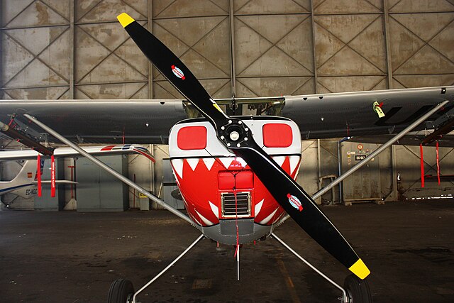 Avioneta