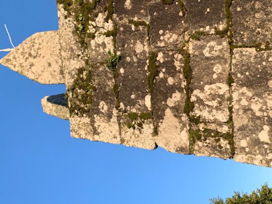 Detalle del Parador de Baiona con agentes biológicos por encima de la piedra.