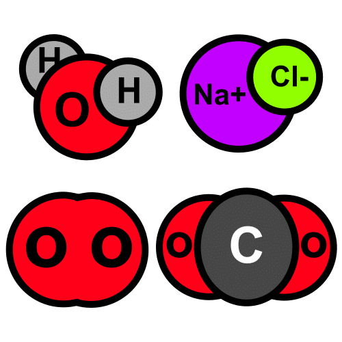 Biomoléculas