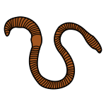 Miñoca. Especie de verme, longo e xeralmente de cor rosada.