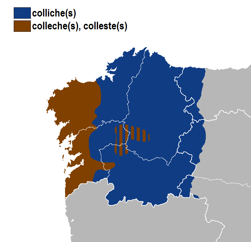 Áreas colliches
