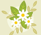 flores blancas