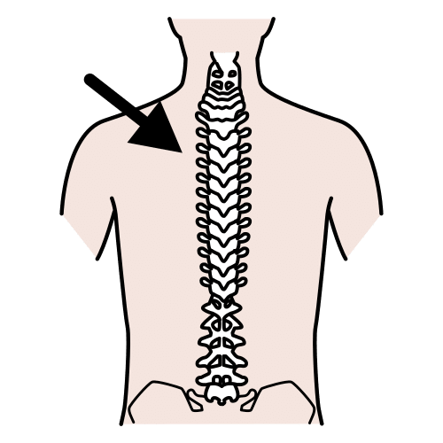 Pictograma da columna vertebral
