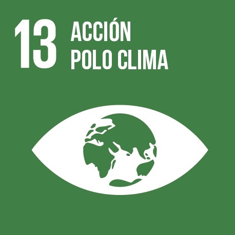 Icona do ODS13: planeta terra cun ollo de cor verde.