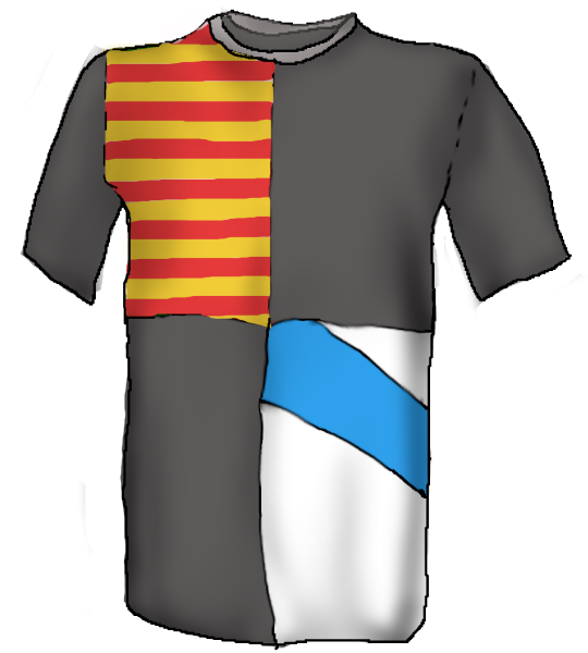 Camiseta coa bandeira galega e a catalá.