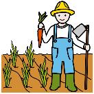 Imaxe dunha persoa agricultura cunha cenoria na man