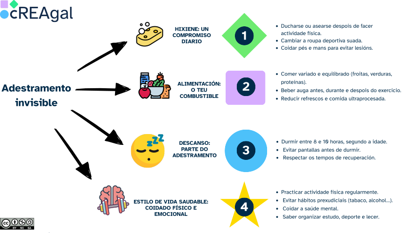 Infografía coas aspectos importantes do adestramento invisible