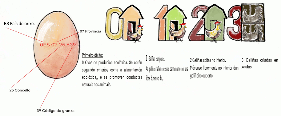 A imaxe explica os códigos dos ovos