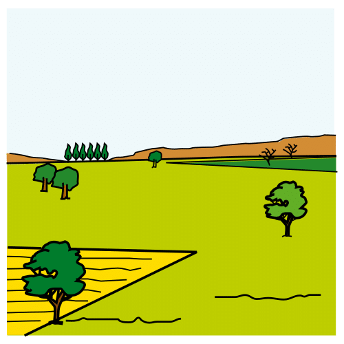 Campo mundo rural