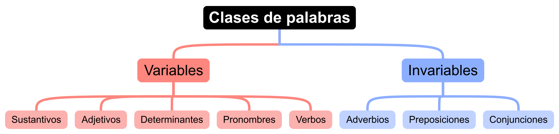 Esquema con las clases de palabras, sustantivo, adjetivo, determinante, entre otras