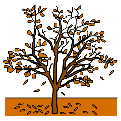 Árbol de otoño al que le faltan hojas.