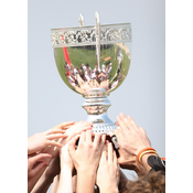 Propuesta 2. Manos levantan un trofeo.