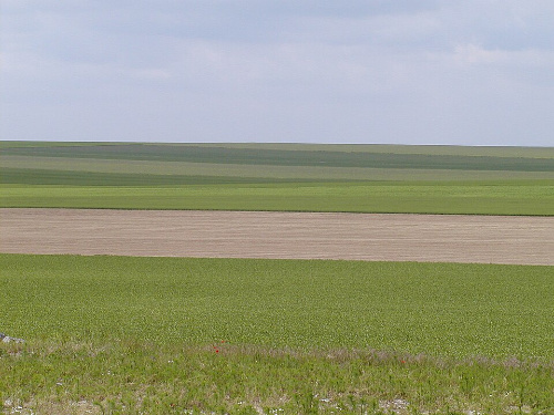 Imaxe de campos abertos ou openfield