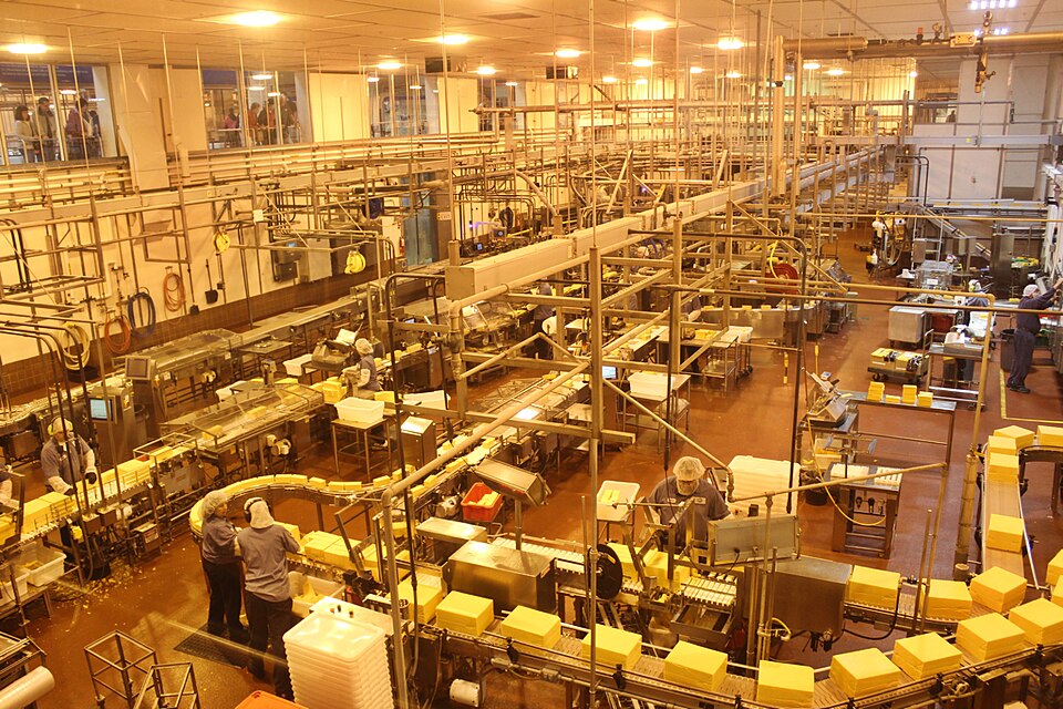 Imaxe dunha fábrica de queixo. Industria de consumo.