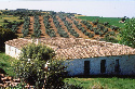 Fotografía dunha exploatción agraria.