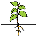 Pictograma dunha planta medrando na terra. Exemplo de custos de produción.