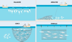 Imaxe na que se reflicten diversas artes de pesca.