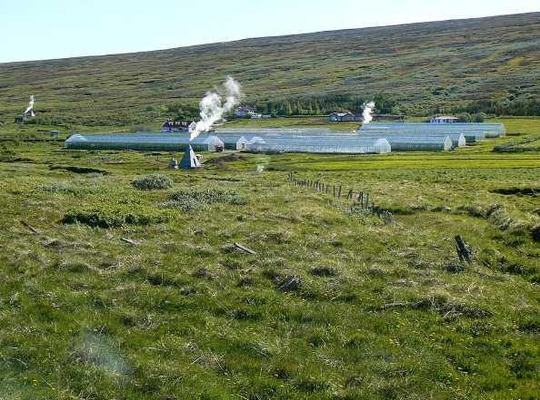Imaxe de invernadoiros en Islandia